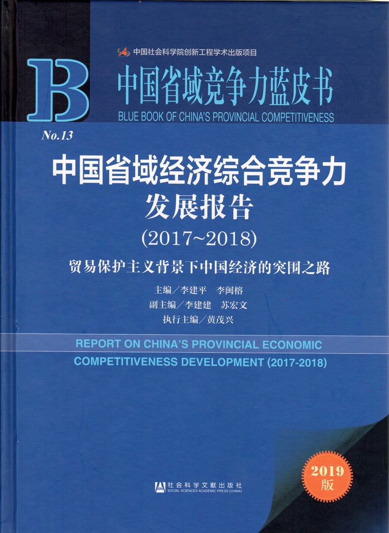 大美女操逼逼中国省域经济综合竞争力发展报告（2017-2018）